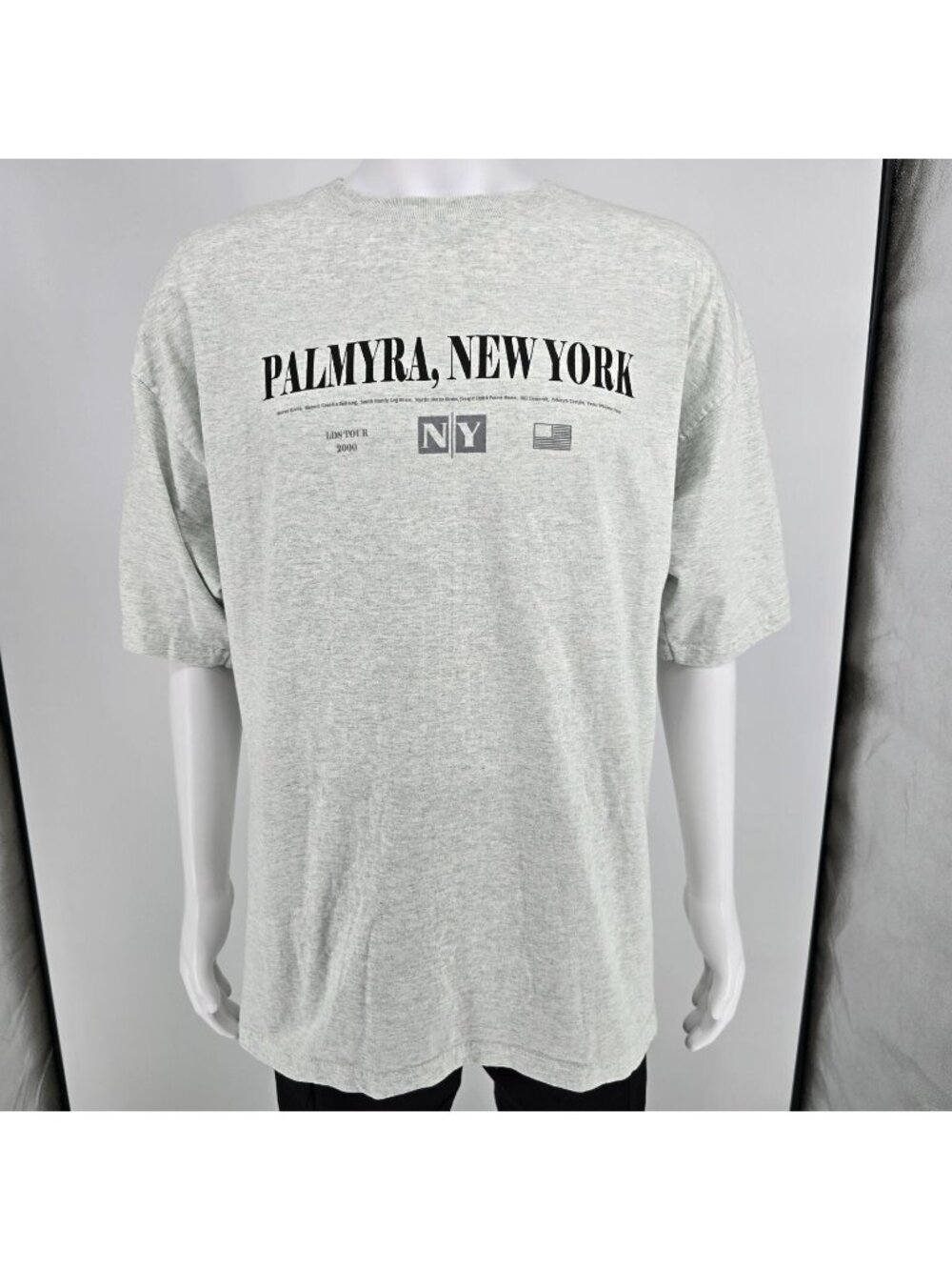 Vintage Y2K Palmyra, New York LDS Tour 2000 Latter-Day Saints Gray T-Shirt (XXL)